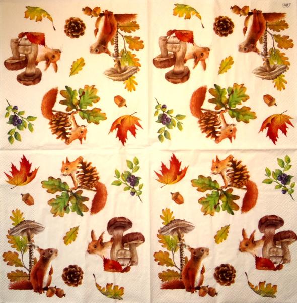 020 Eichhörnchen - 3-ply - Ambiente